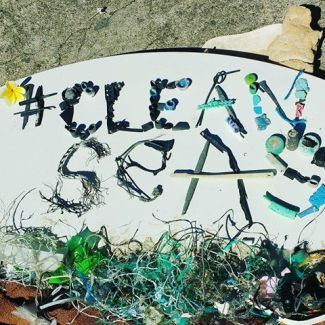 Clean Seas